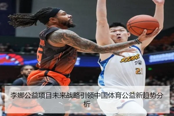 李娜公益项目未来战略引领中国体育公益新趋势分析
